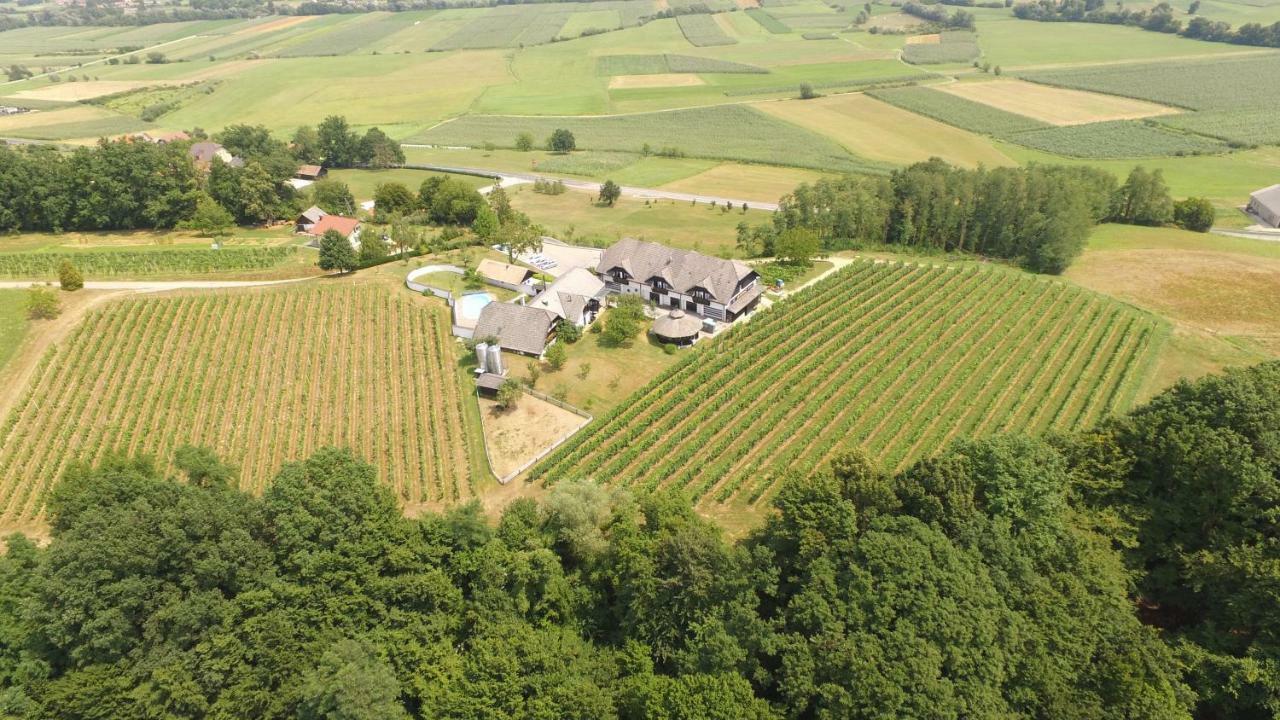 Villa Istenic Bizeljsko Экстерьер фото